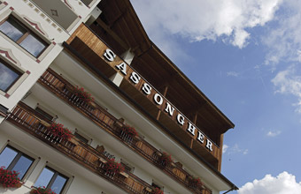 HOTEL SASSONGHER